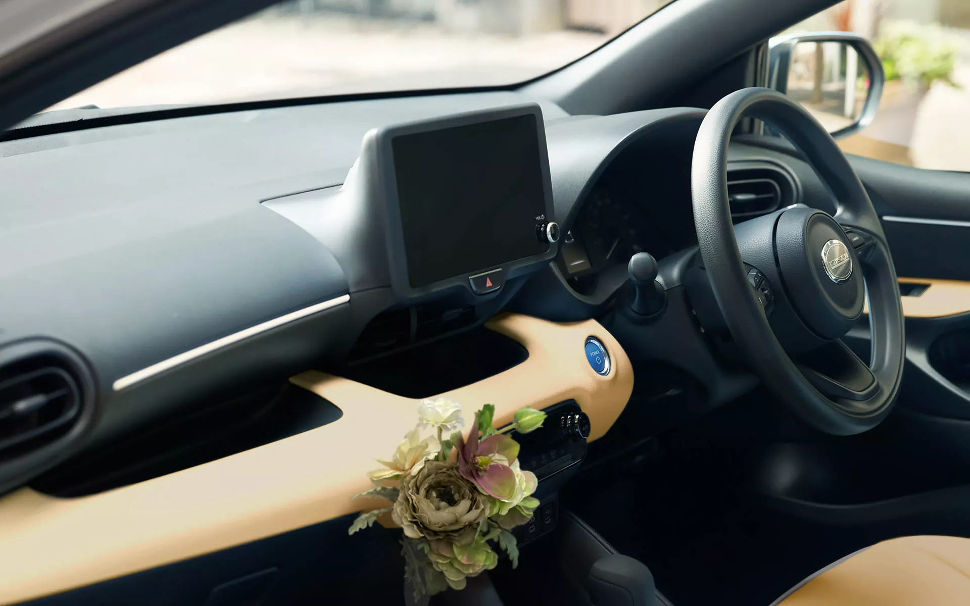 Mitsuoka Viewt Royal Edition