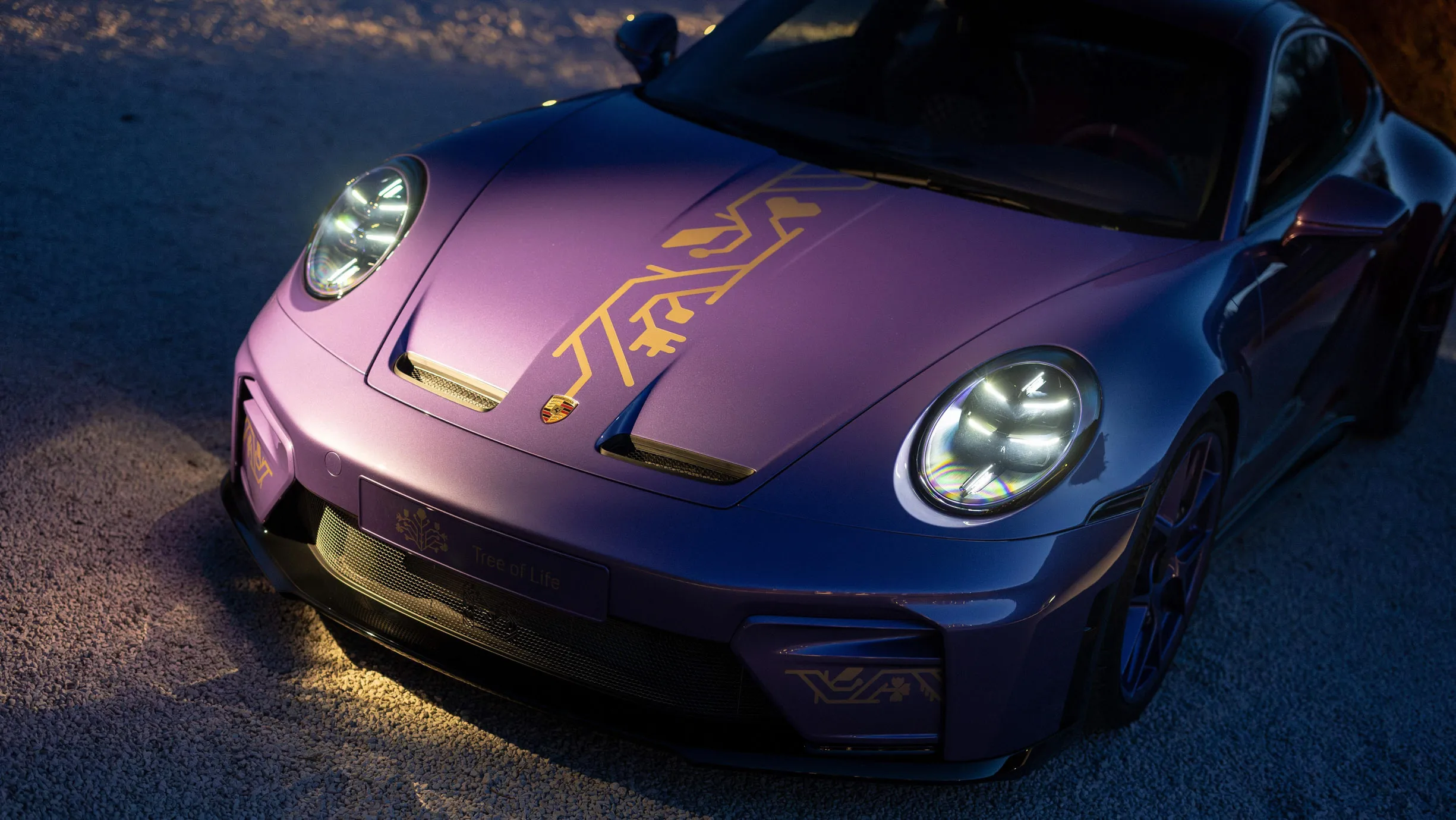 Porsche 911 GT3 Tree of Life
