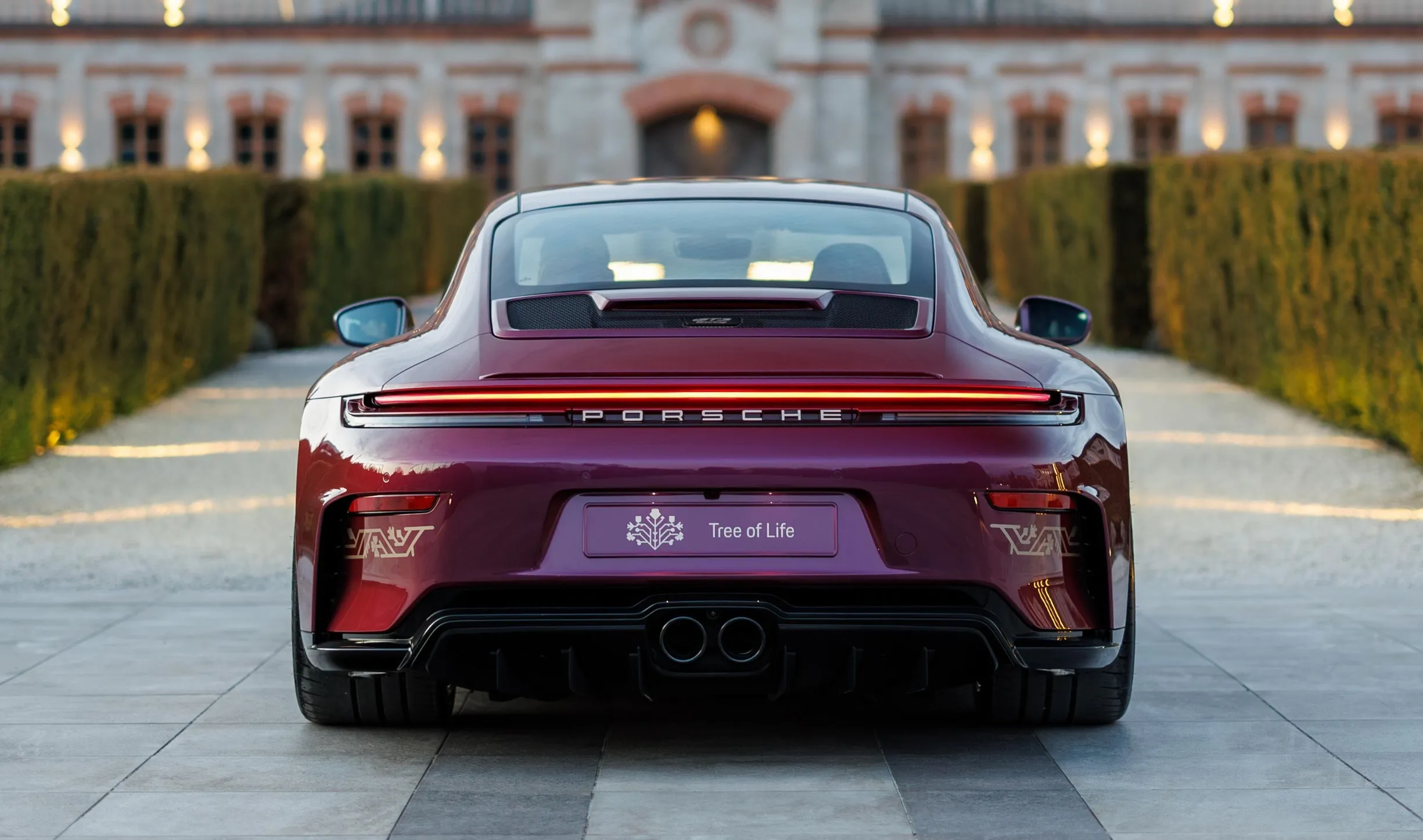 Porsche 911 GT3 Tree of Life