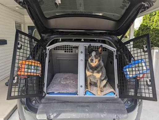 Ridgeline_for_dogs