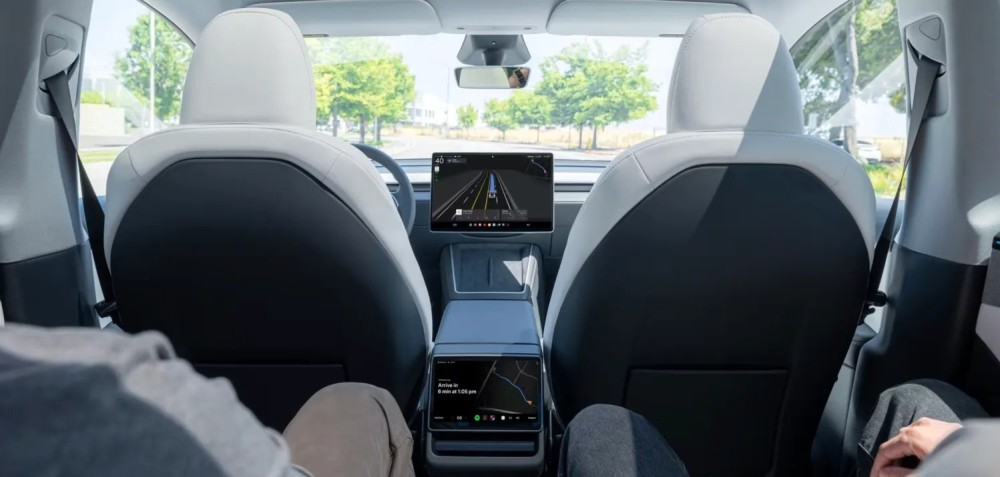Tesla robotaxi fleet