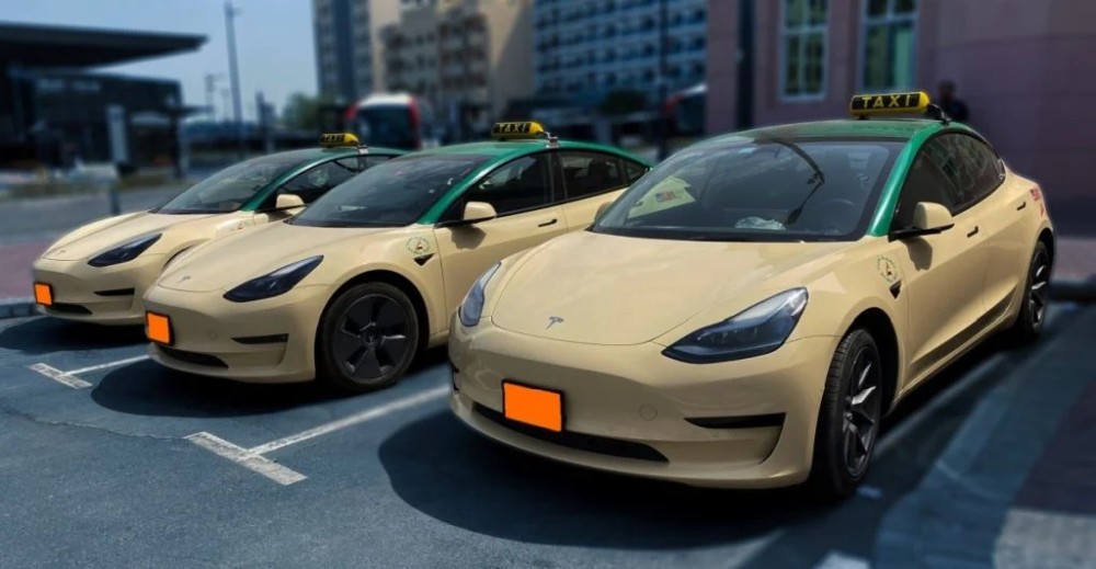 Tesla robotaxi fleet