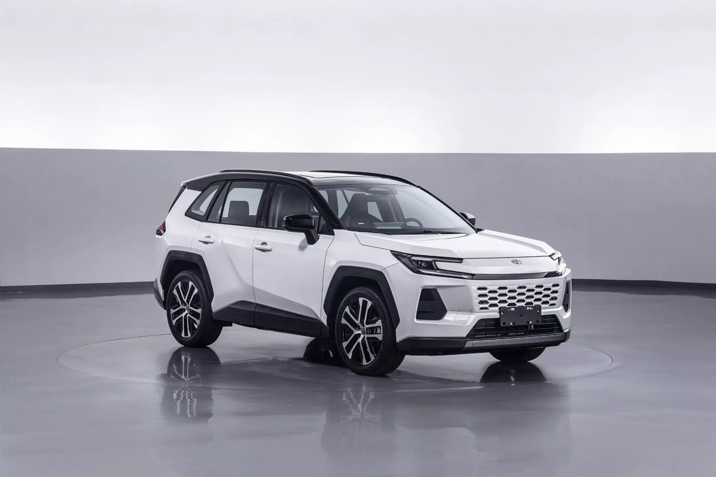 2025 Toyota Wildlander