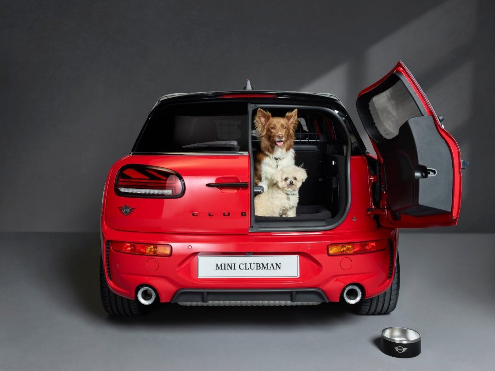 best_cars_for_dogs