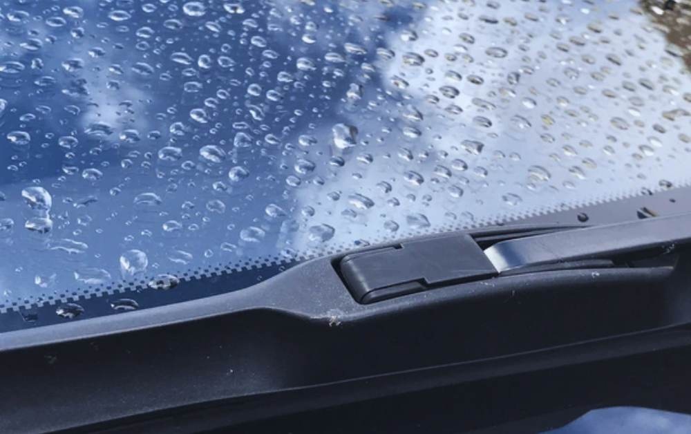 black dots on windshield\