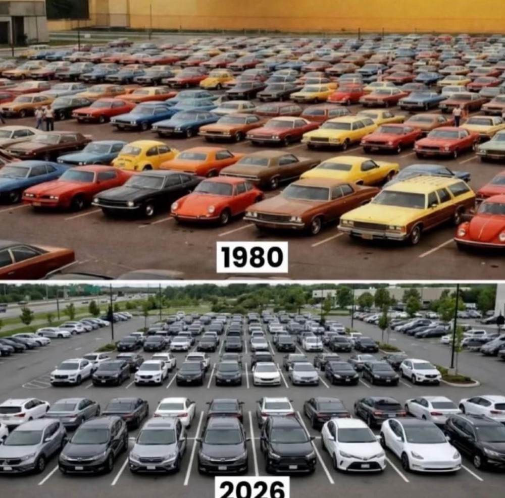 car color and resale value