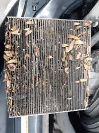 filthy_cabin_air_filter