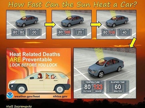 how_hot_does_a_parked_car_get_in the sun