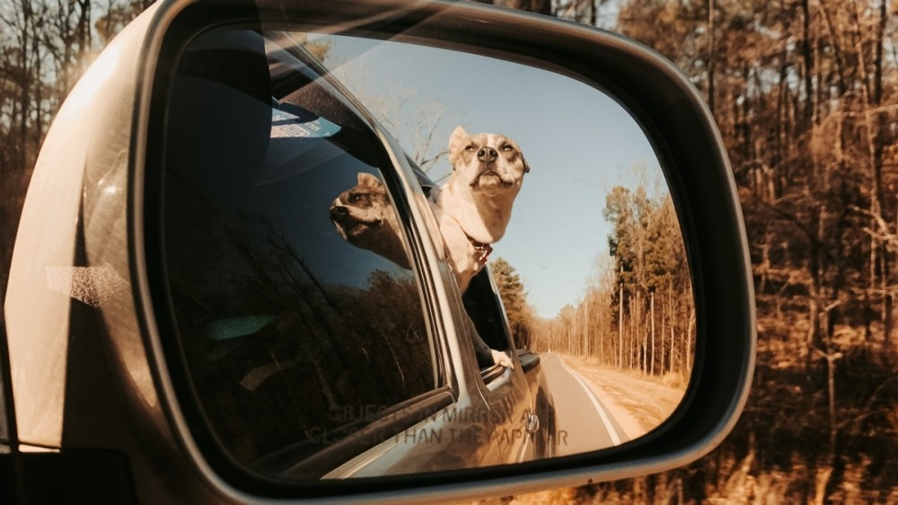 objects_in_mirror_are_closer