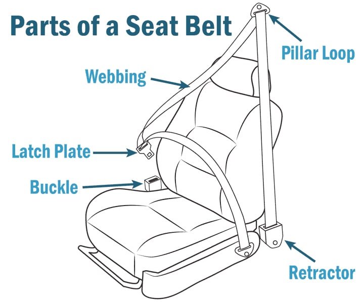 parts of a seatbelt