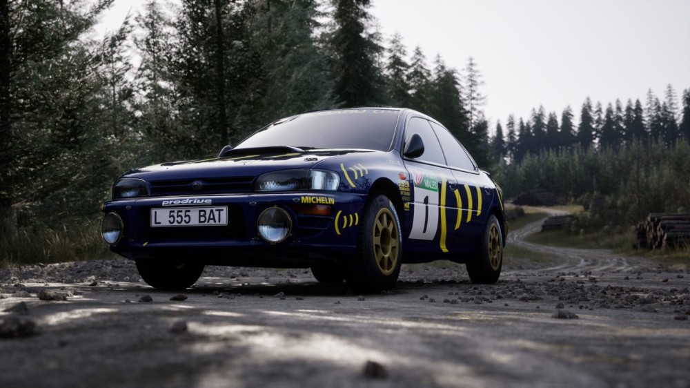 rally vs circuit racing