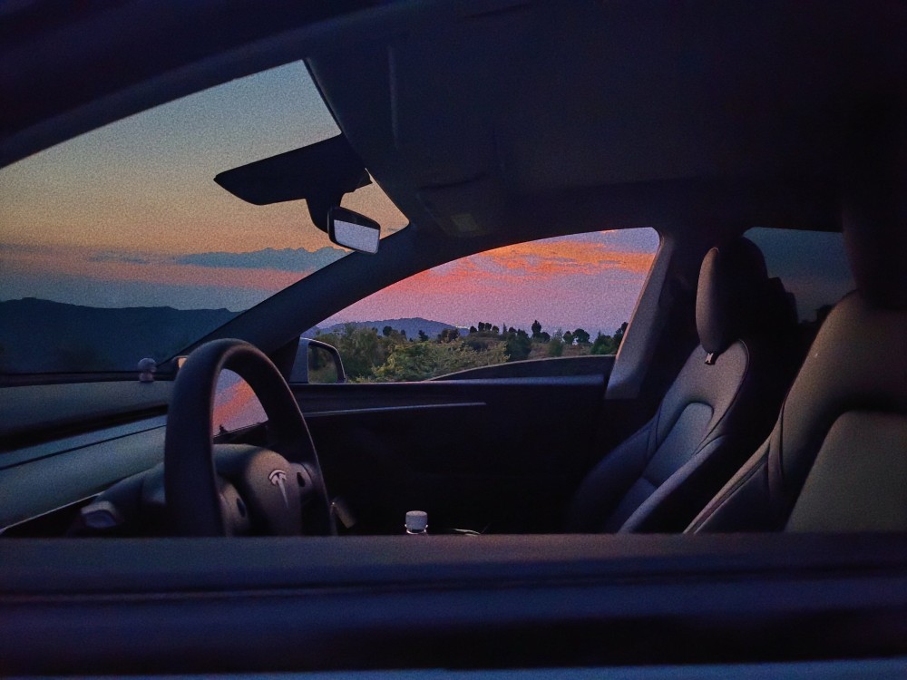 tesla car window