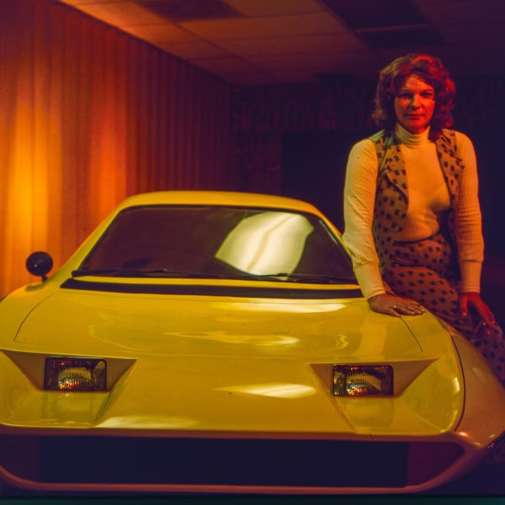 the_lady_and_the_dale