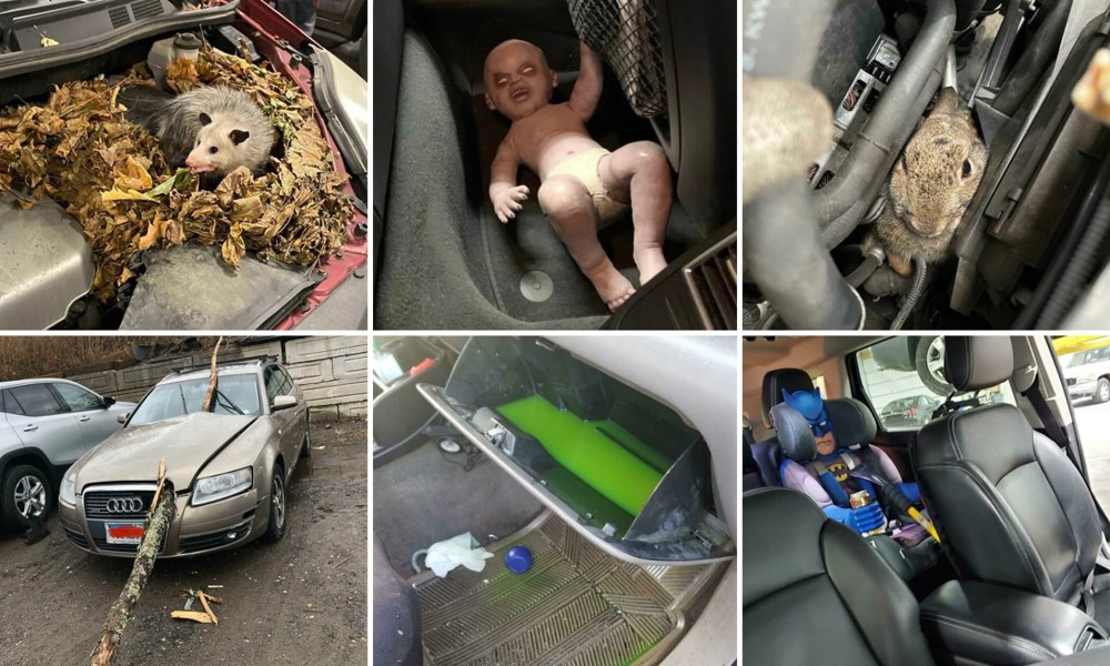 weird_things_found_in_cars